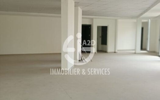 Location plateau de bureaux centre-ville